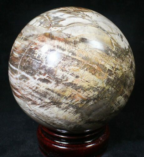 Colorful Petrified Wood Sphere #20601
